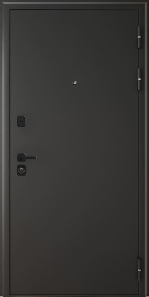Входная дверь Леон Черный шелк ФЛ-9 Силк Маус AGAT